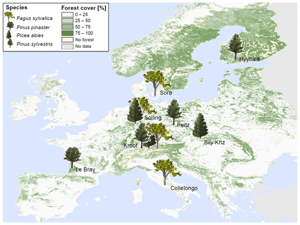 European forest larch 12-16 cm 52-4202