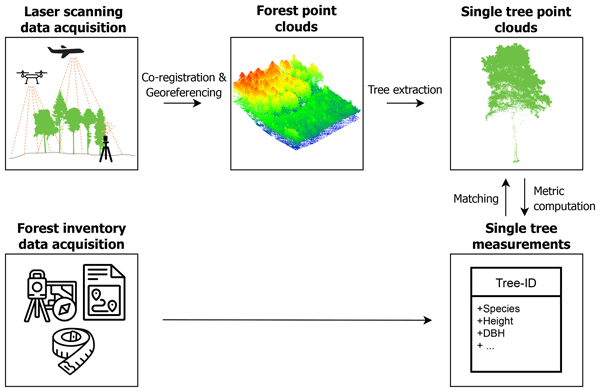 ESSD - Individual tree point clouds and tree measurements from  multi-platform laser scanning in German forests